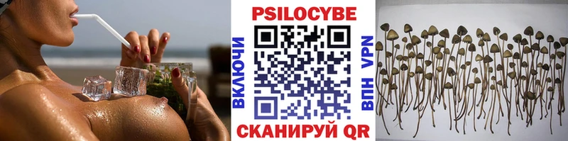 Купить  Злынка  Псилоцибиновые грибы мухоморы 
